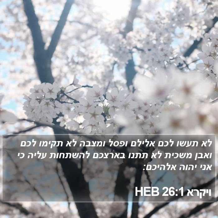 ויקרא 26:1 HEB Bible Study