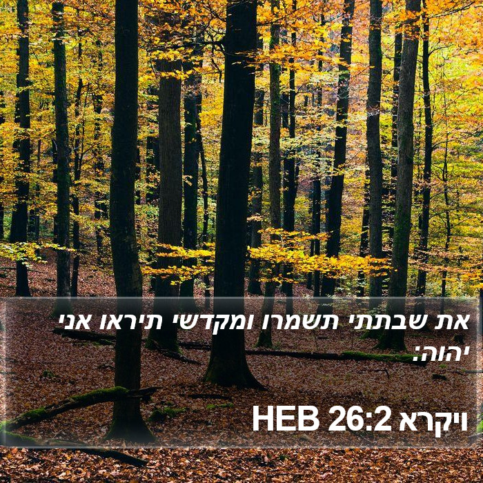 ויקרא 26:2 HEB Bible Study