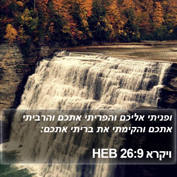 ויקרא 26:9 HEB Bible Study