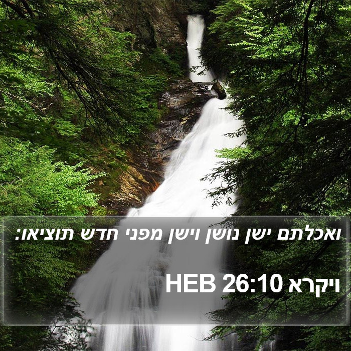 ויקרא 26:10 HEB Bible Study