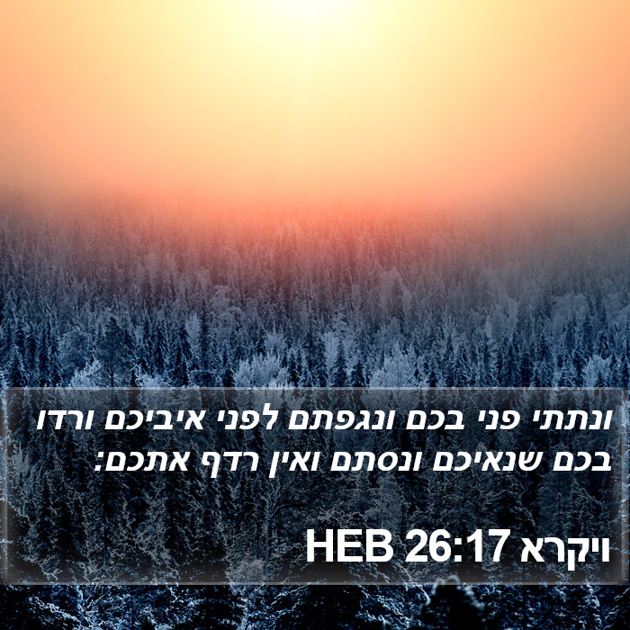 ויקרא 26:17 HEB Bible Study