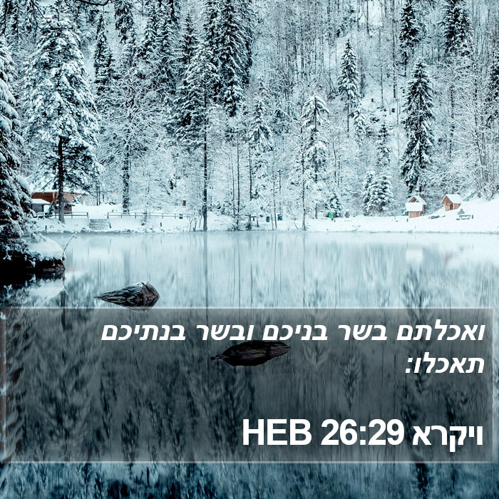 ויקרא 26:29 HEB Bible Study