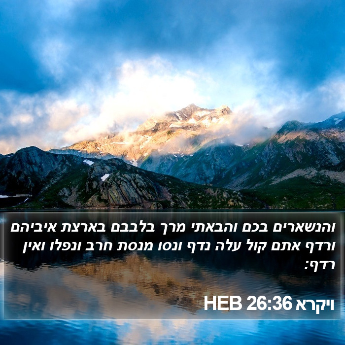 ויקרא 26:36 HEB Bible Study