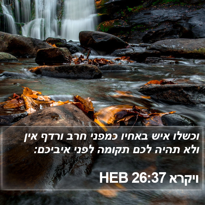 ויקרא 26:37 HEB Bible Study