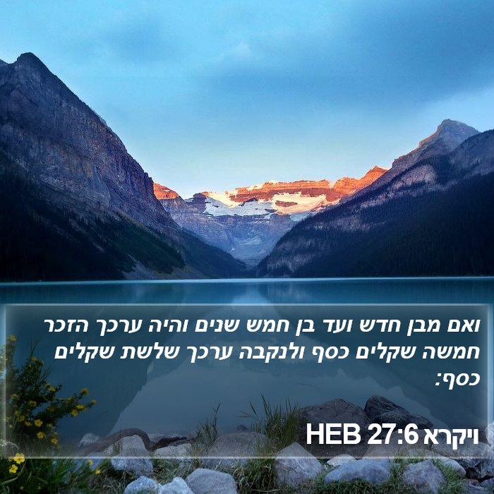 ויקרא 27:6 HEB Bible Study