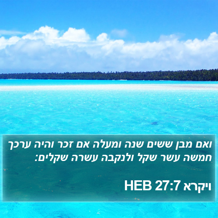 ויקרא 27:7 HEB Bible Study