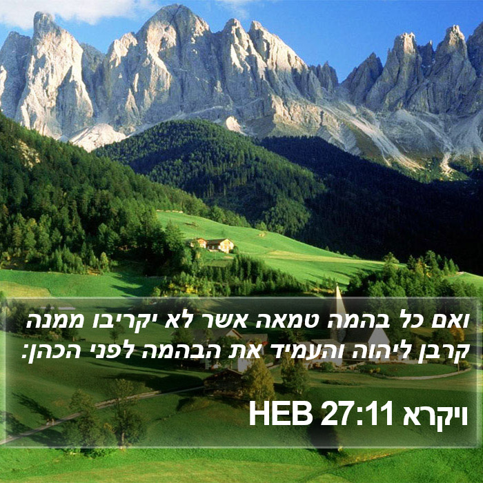 ויקרא 27:11 HEB Bible Study