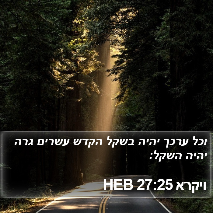 ויקרא 27:25 HEB Bible Study