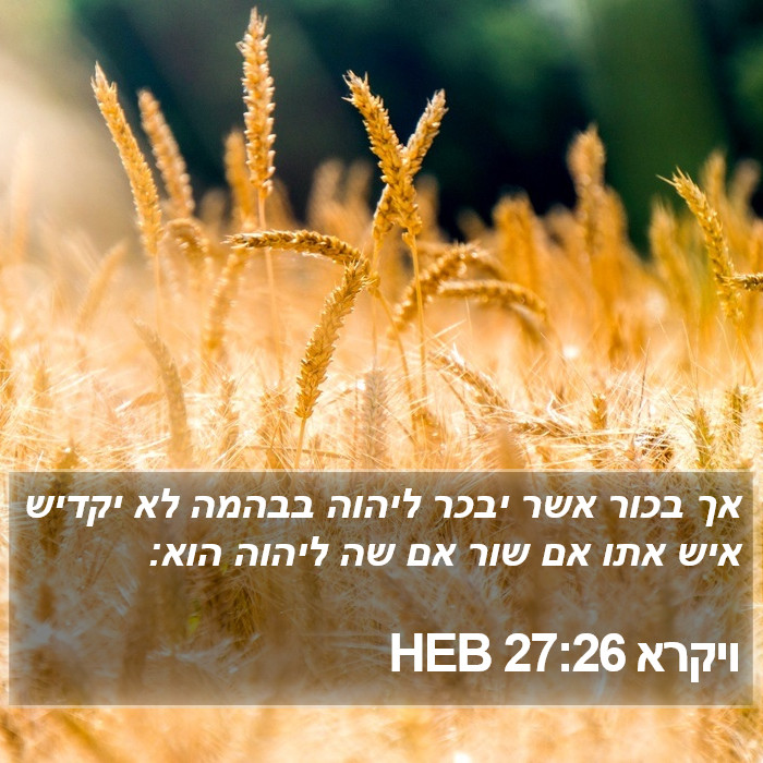 ויקרא 27:26 HEB Bible Study