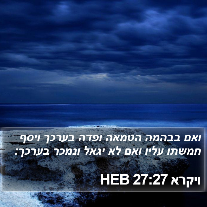 ויקרא 27:27 HEB Bible Study