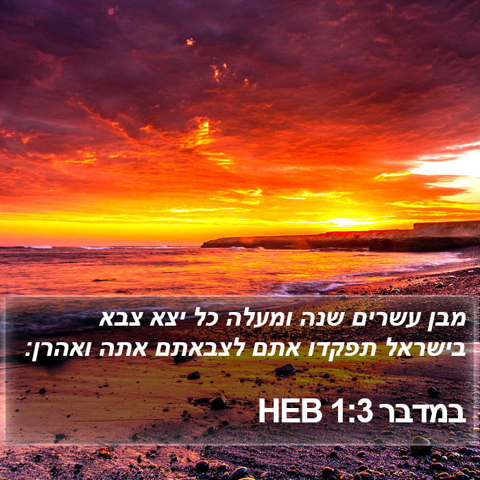 במדבר 1:3 HEB Bible Study