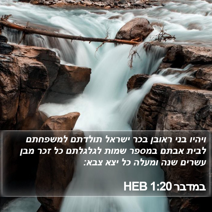 במדבר 1:20 HEB Bible Study