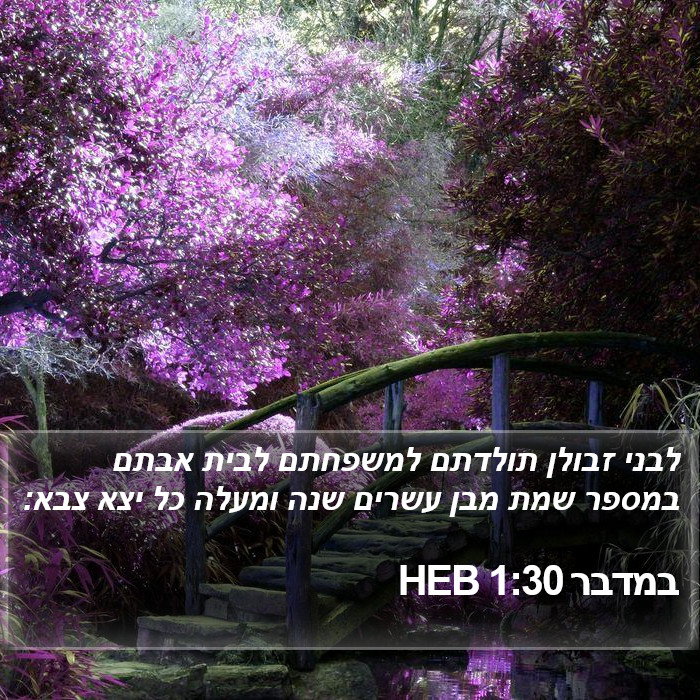 במדבר 1:30 HEB Bible Study