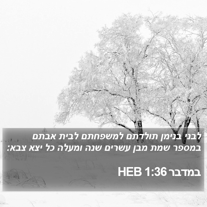 במדבר 1:36 HEB Bible Study