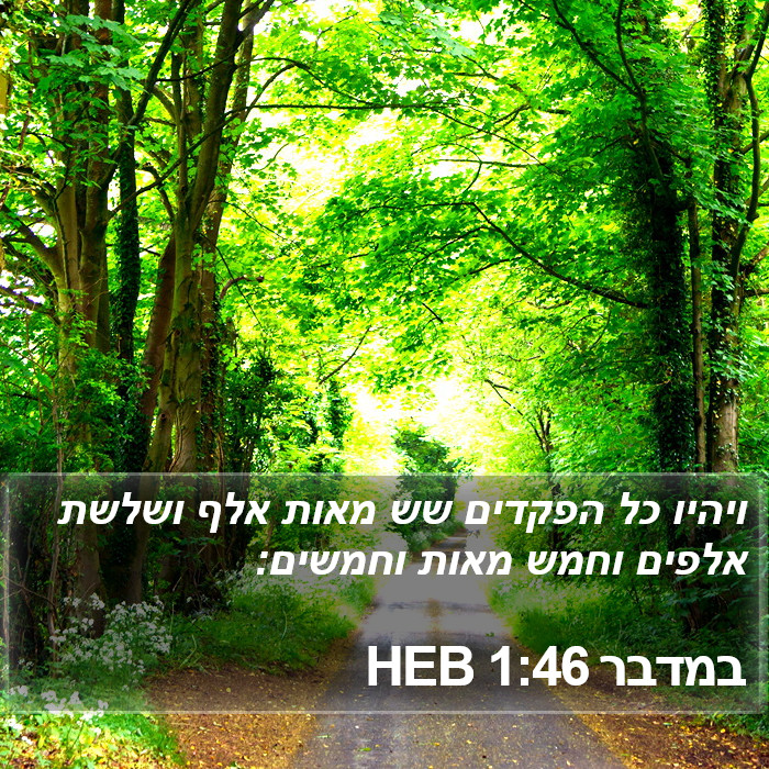 במדבר 1:46 HEB Bible Study