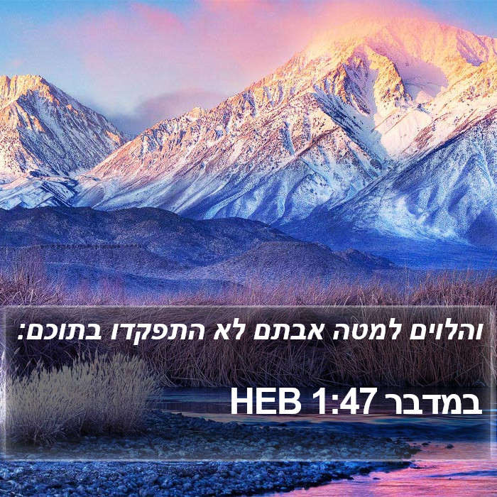 במדבר 1:47 HEB Bible Study