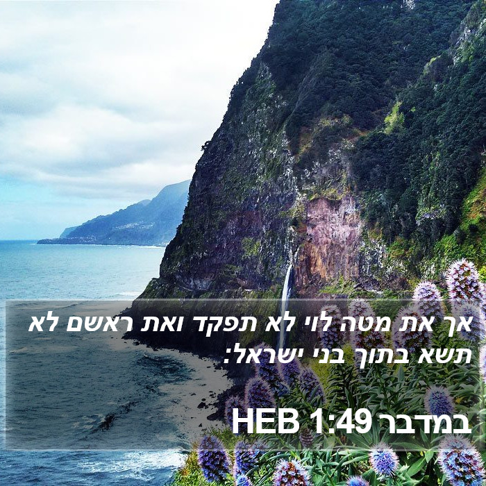 במדבר 1:49 HEB Bible Study