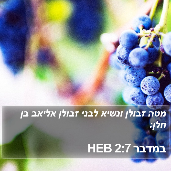 במדבר 2:7 HEB Bible Study