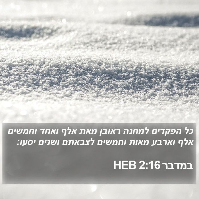 במדבר 2:16 HEB Bible Study