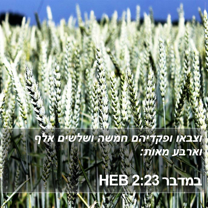 במדבר 2:23 HEB Bible Study