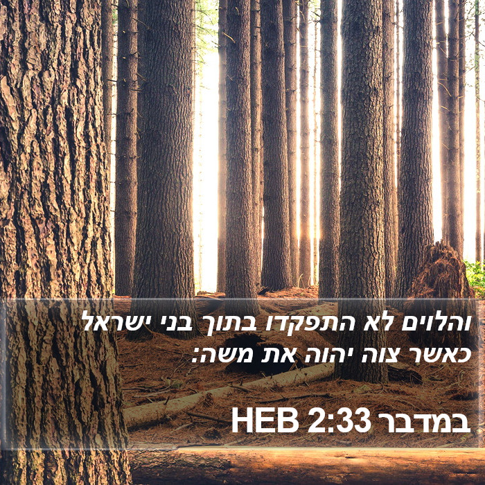 במדבר 2:33 HEB Bible Study