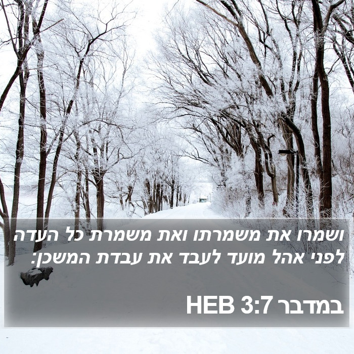 במדבר 3:7 HEB Bible Study