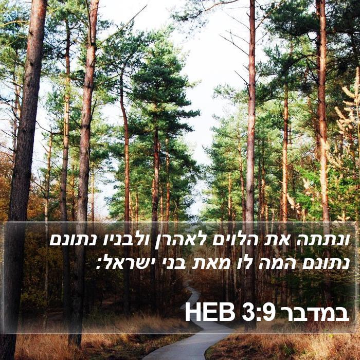 במדבר 3:9 HEB Bible Study