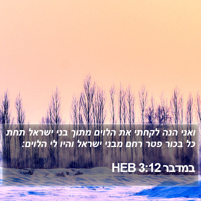 במדבר 3:12 HEB Bible Study