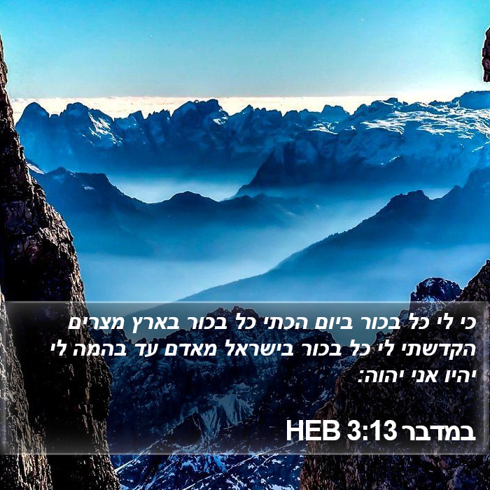 במדבר 3:13 HEB Bible Study