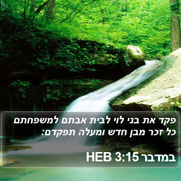 במדבר 3:15 HEB Bible Study