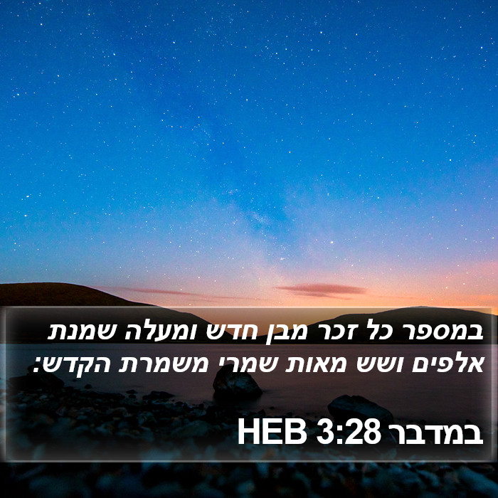 במדבר 3:28 HEB Bible Study