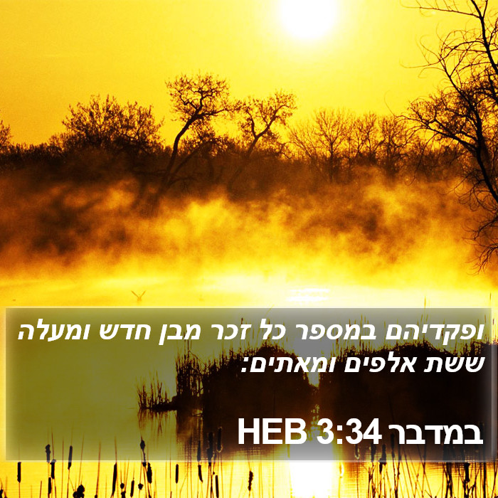 במדבר 3:34 HEB Bible Study