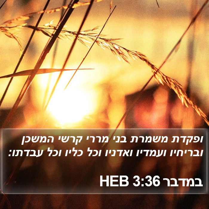 במדבר 3:36 HEB Bible Study