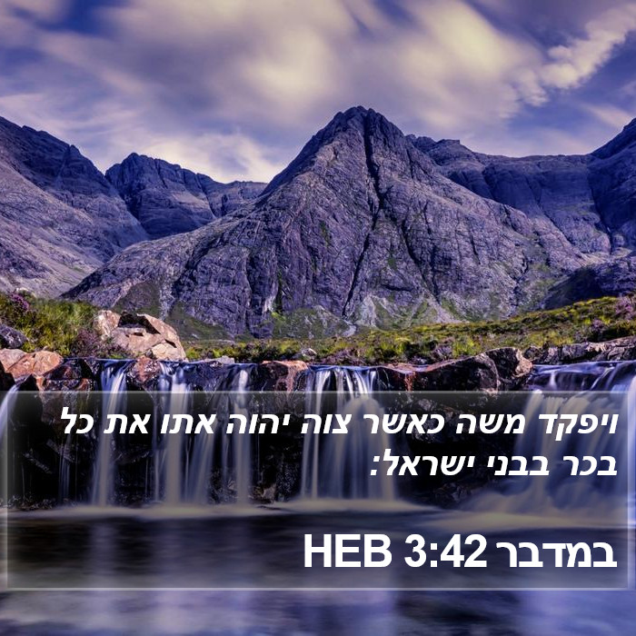 במדבר 3:42 HEB Bible Study