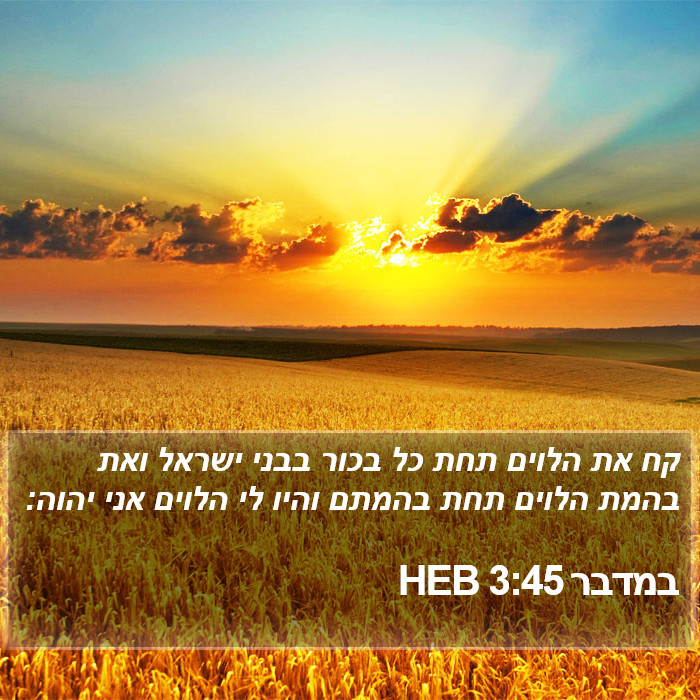 במדבר 3:45 HEB Bible Study