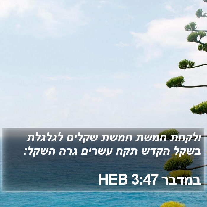 במדבר 3:47 HEB Bible Study