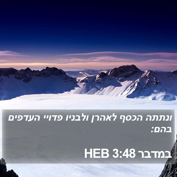 במדבר 3:48 HEB Bible Study