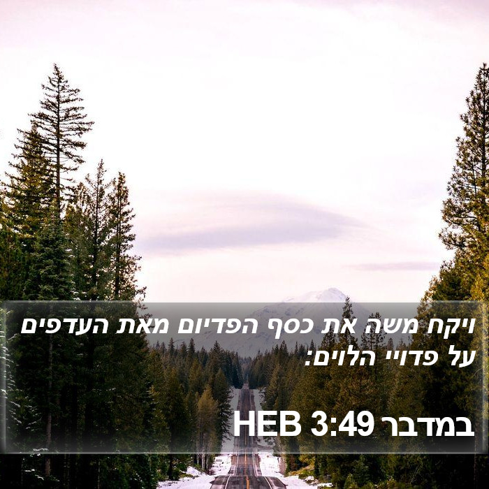 במדבר 3:49 HEB Bible Study