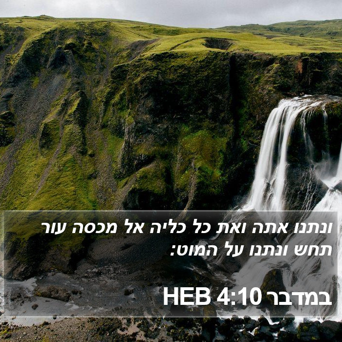 במדבר 4:10 HEB Bible Study