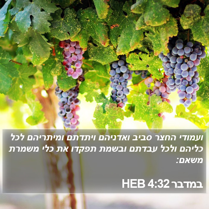 במדבר 4:32 HEB Bible Study