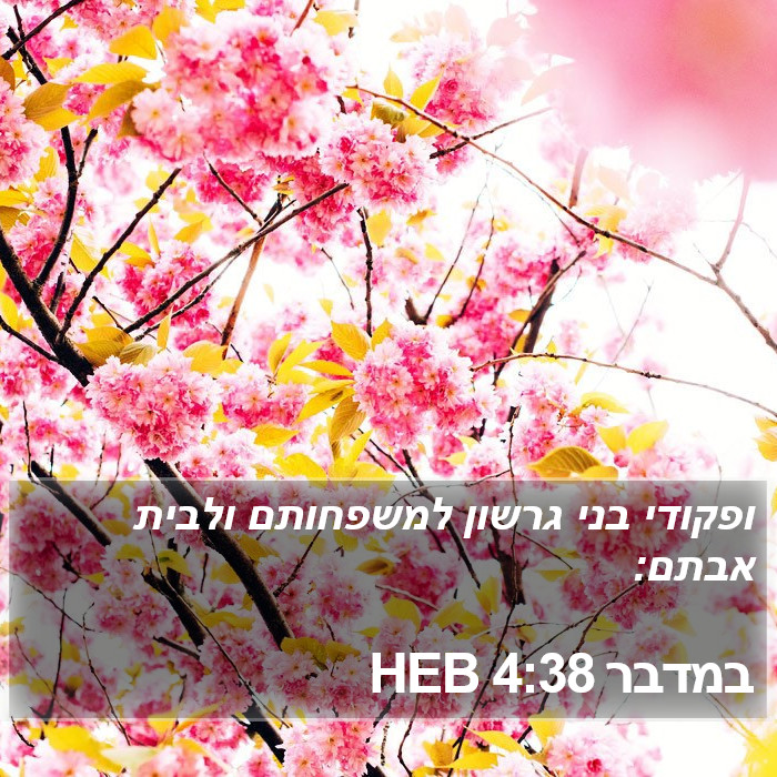 במדבר 4:38 HEB Bible Study