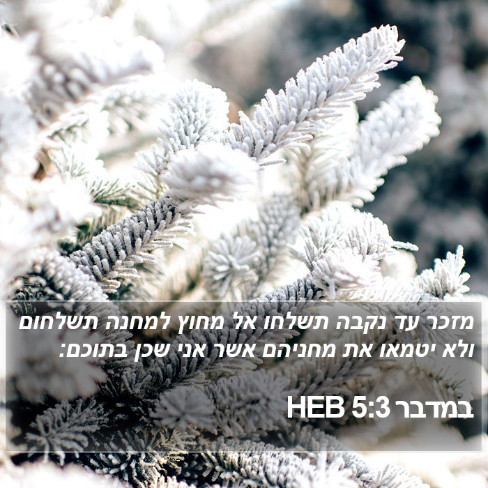 במדבר 5:3 HEB Bible Study