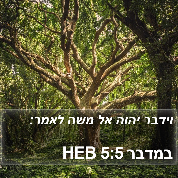 במדבר 5:5 HEB Bible Study