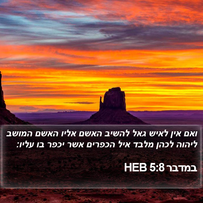 במדבר 5:8 HEB Bible Study