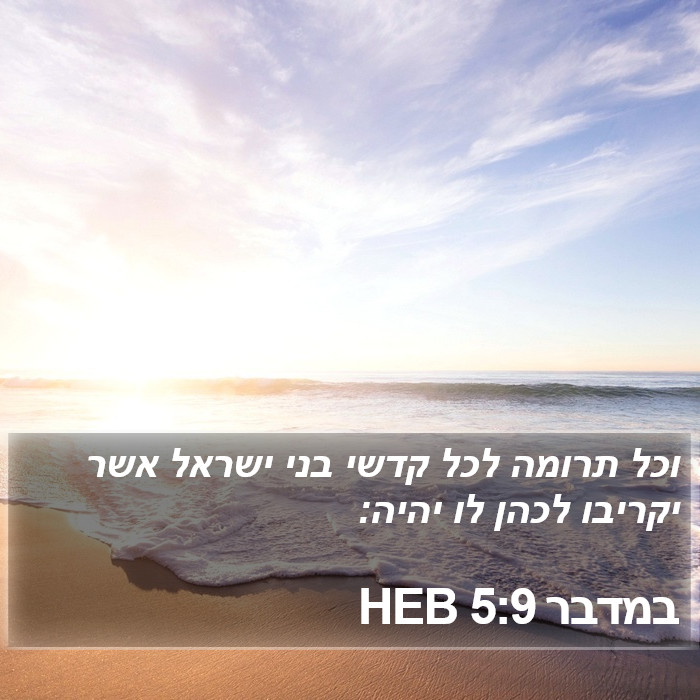 במדבר 5:9 HEB Bible Study