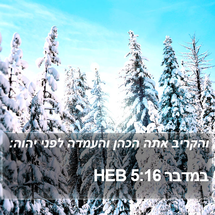 במדבר 5:16 HEB Bible Study