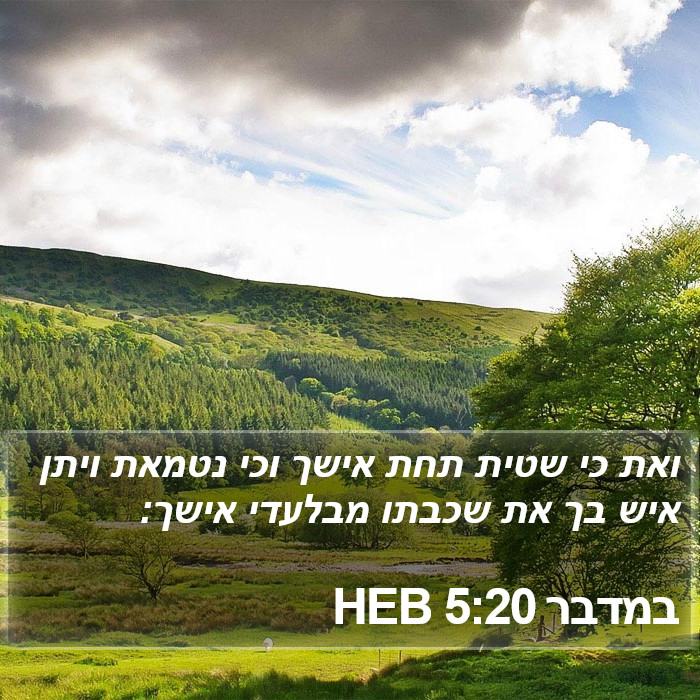 במדבר 5:20 HEB Bible Study