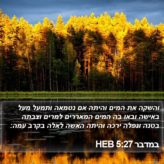 במדבר 5:27 HEB Bible Study