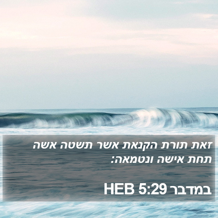 במדבר 5:29 HEB Bible Study