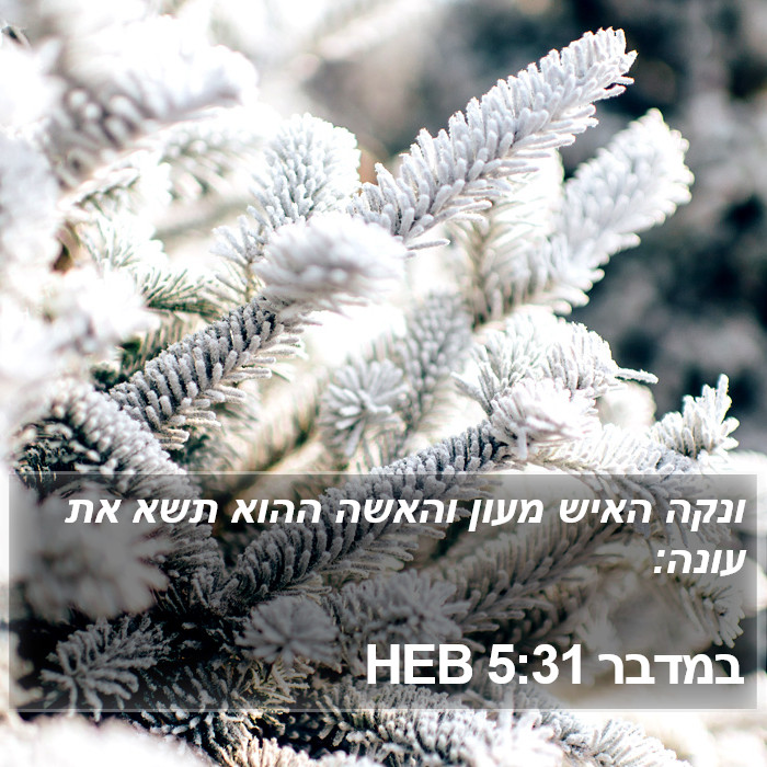 במדבר 5:31 HEB Bible Study